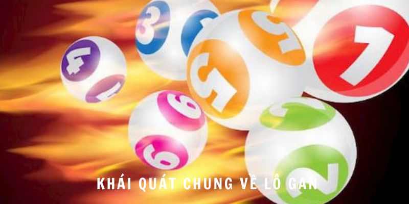 khai quat chung ve lo gan