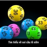 tim hieu ve soi cau lo xien