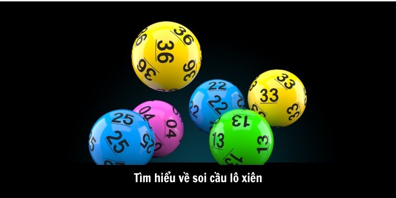 tim hieu ve soi cau lo